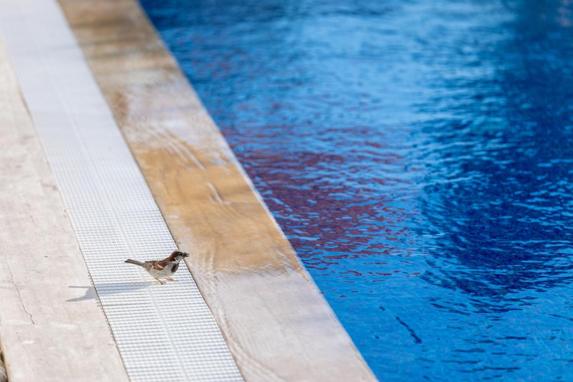 N Hotels Cesme Dalyankoy  Exterior photo